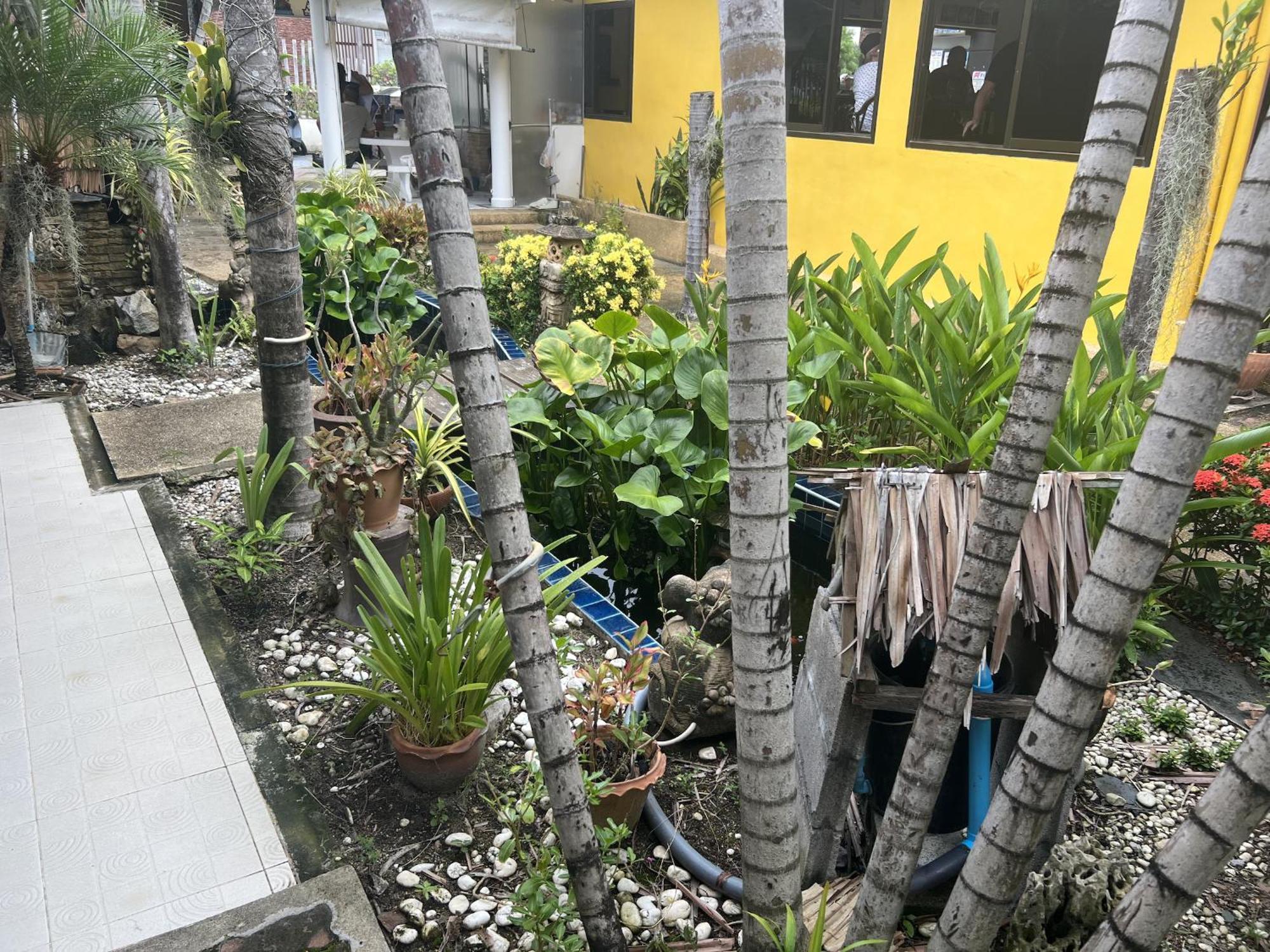 Baan Orchid Guesthouse Patong Zewnętrze zdjęcie